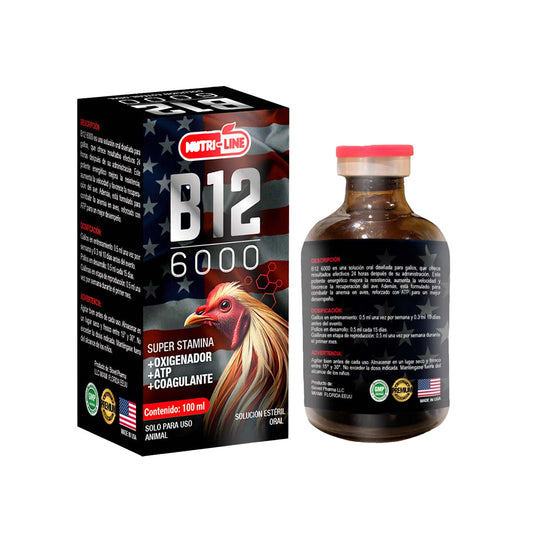 B12 6000
