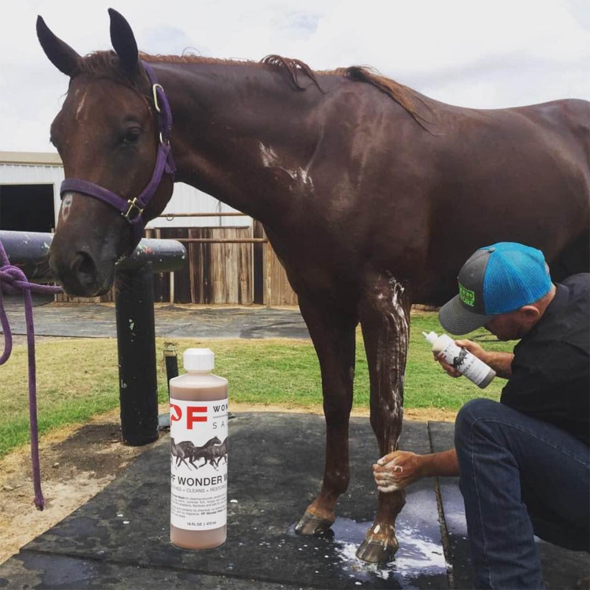 PF Wonder Wash