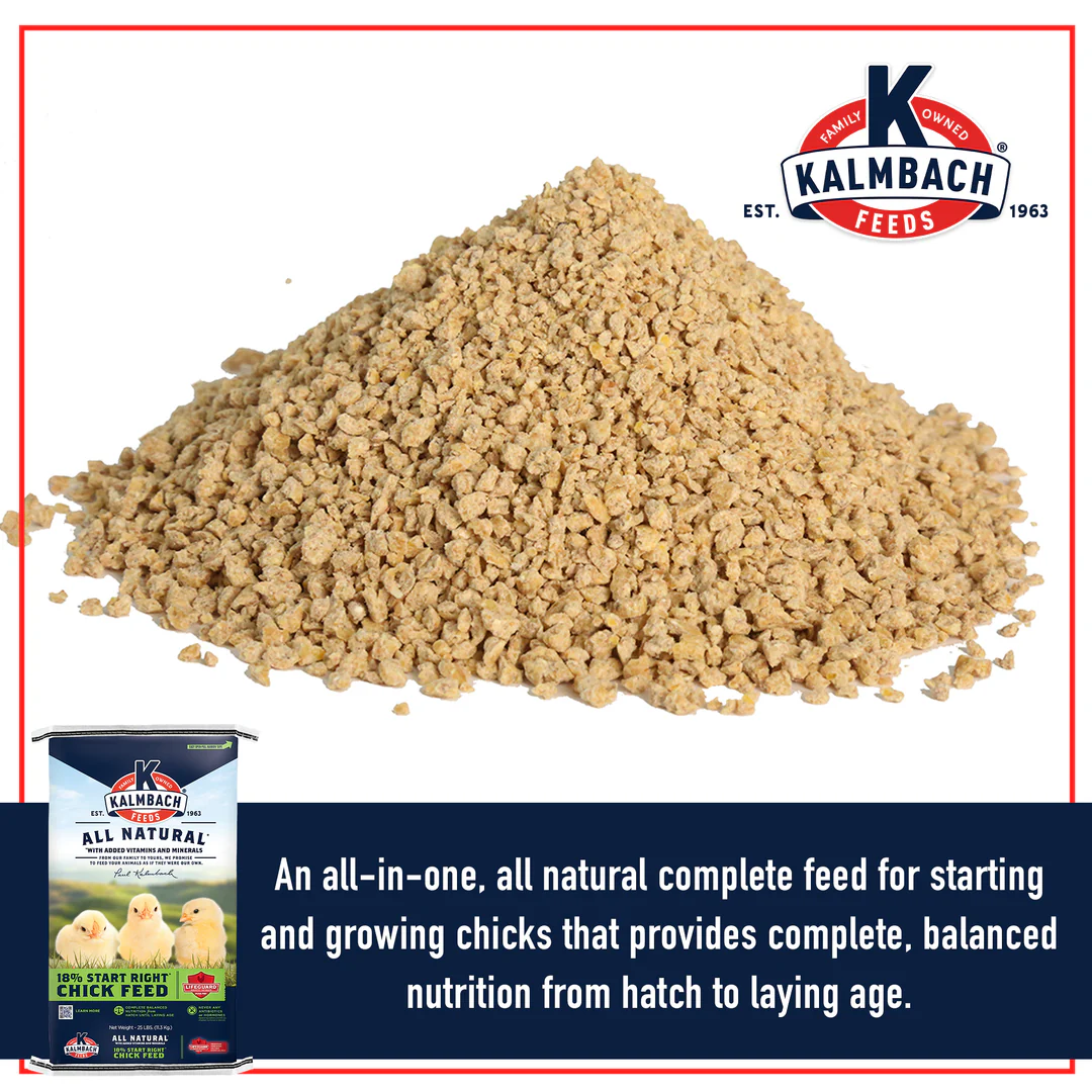 Kalmbach Chick Feed