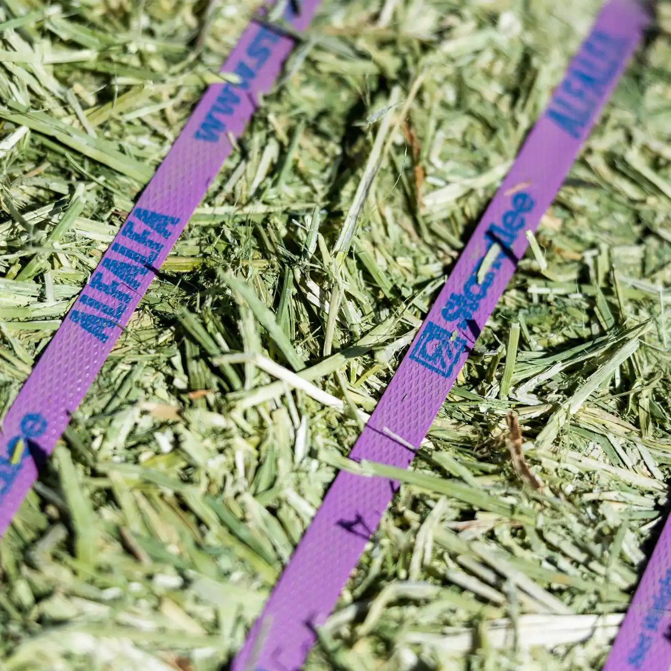 Alfafa Compressed Bale