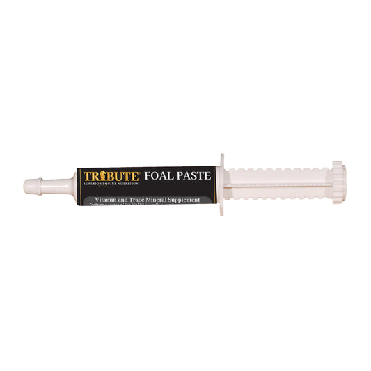 Foal Paste