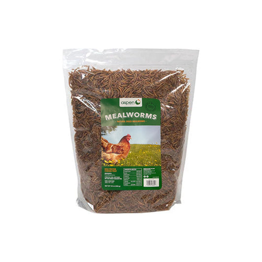 Aspen Dried Mealworms