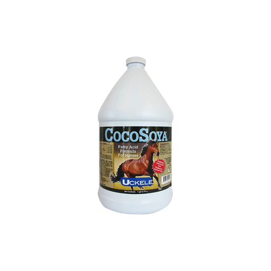 CocoSoya® Oil