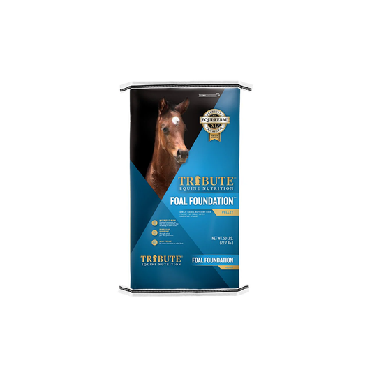 Tribute Foal Foundation™