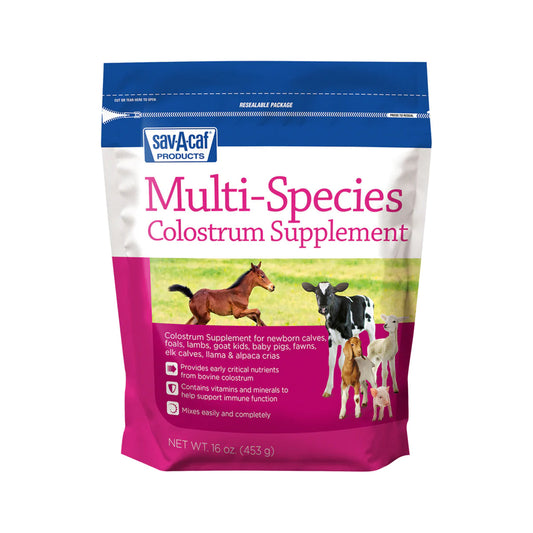 Multi-Species Colostrum Supplement