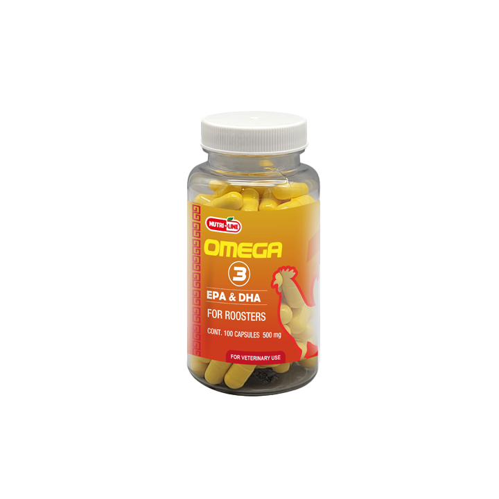 Omega 3 Fish Oil - 100 Capsules