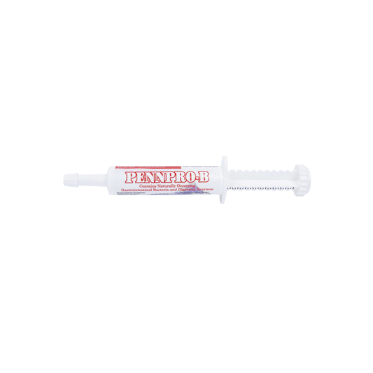 Penn Pro-B Tube