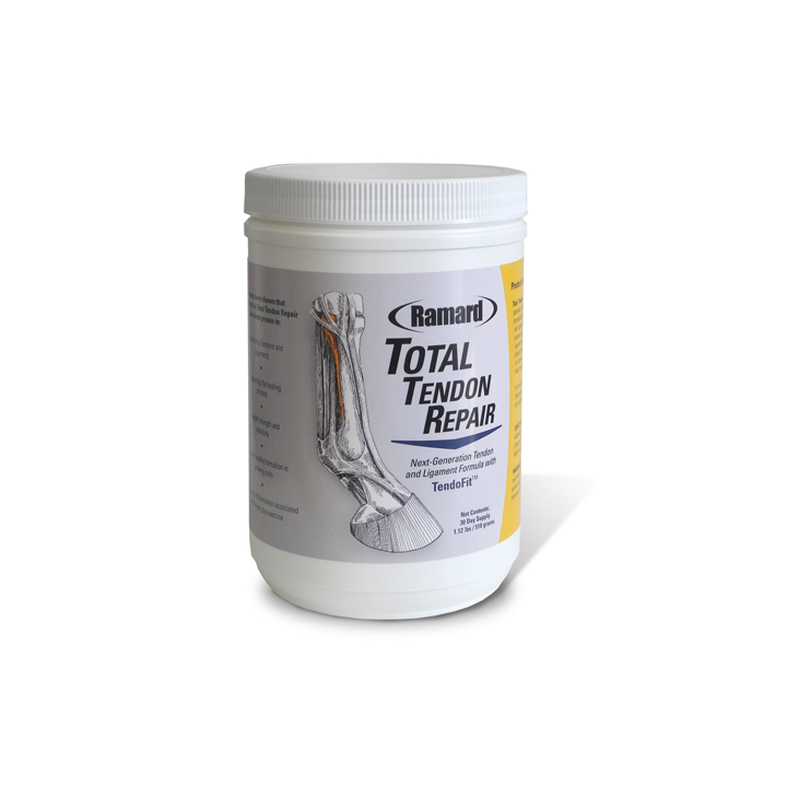 Total Tendon Repair