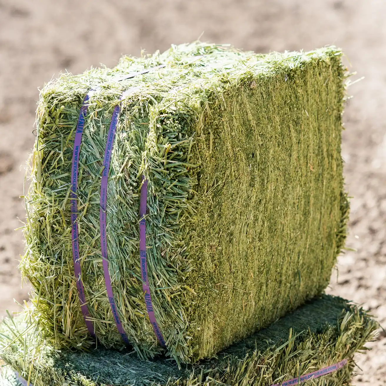 Alfafa Compressed Bale